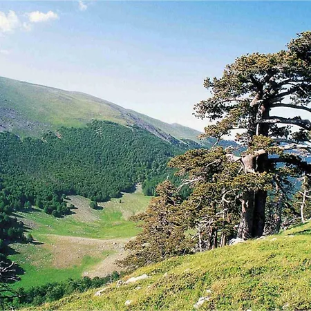 Casa Ferrara Francavilla in Sinni