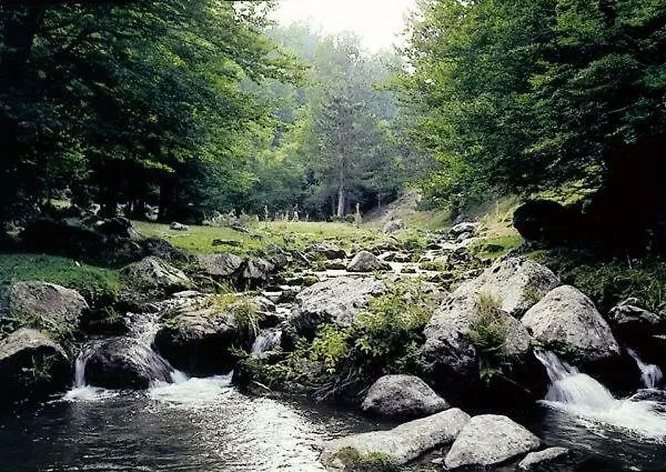 Apartamento Casa Ferrara *