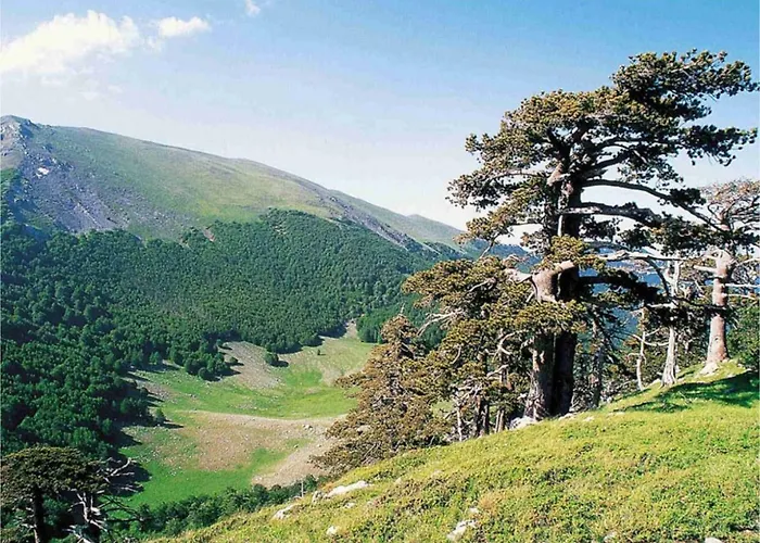 Casa Ferrara Francavilla in Sinni